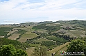 VBS_3013 - Mango (Cuneo) - Gnomovia